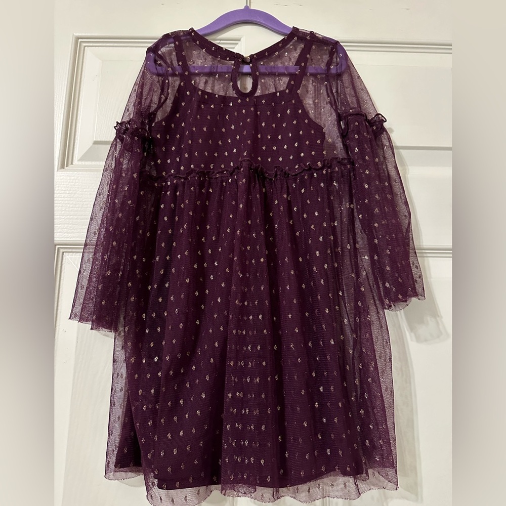 Girl’s wintertime party dress. Size XS 4/5.